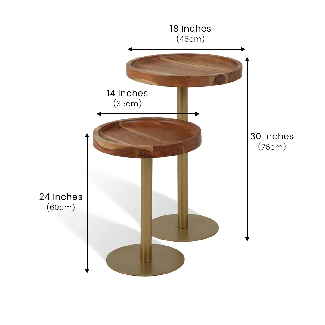Uncomplicated Side Table Set of 2 with Wooden Top Gold
